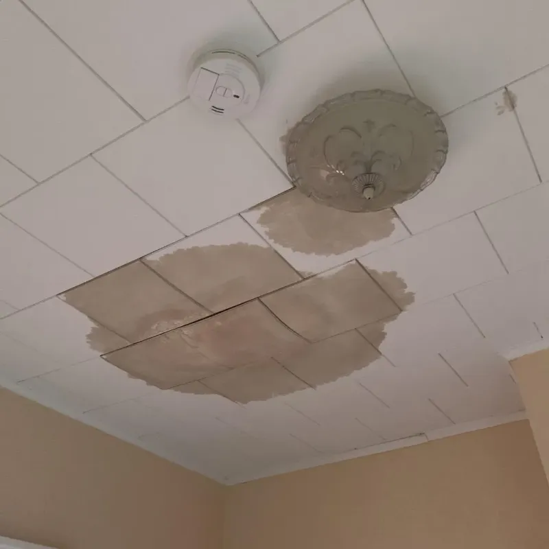 Ceiling Water Damage Repair in Gilmanton, NH