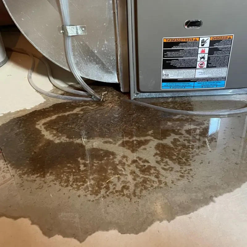 Pipe Burst and Leak Restoration in Gilmanton, NH