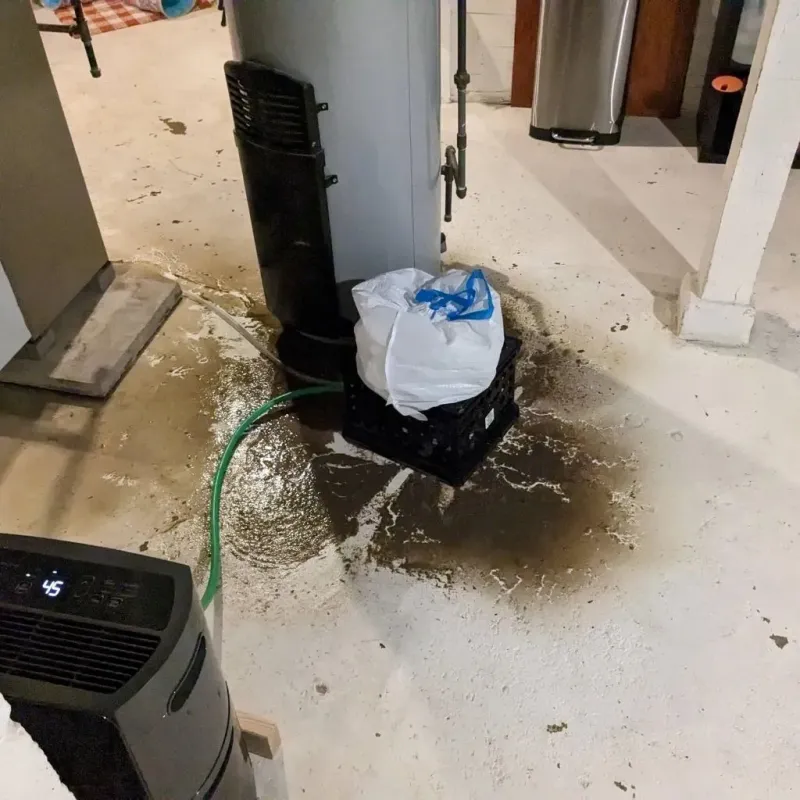 Sewage Backup Cleanup Service in Gilmanton, NH